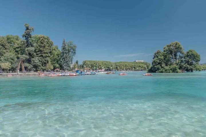 Cabana & Le Cocon Annecy Centre - Proche Gare Et Lac Bagian luar foto